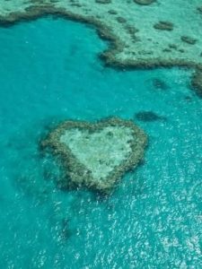 floating in a sea of love…. – inheart